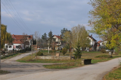 Bina-1